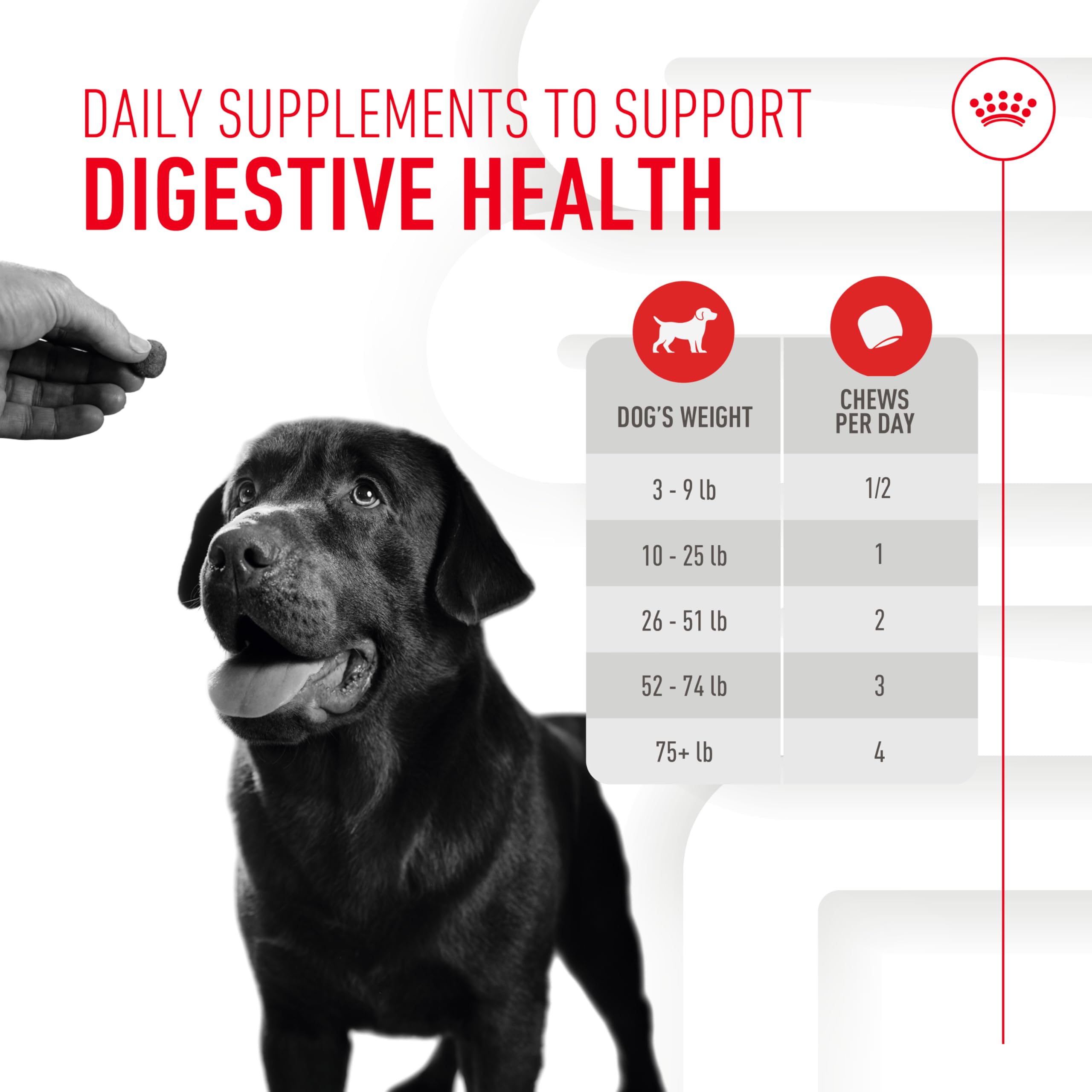 Royal Canin Complementary diet pairs with any Royal Canin diet for balanced health.