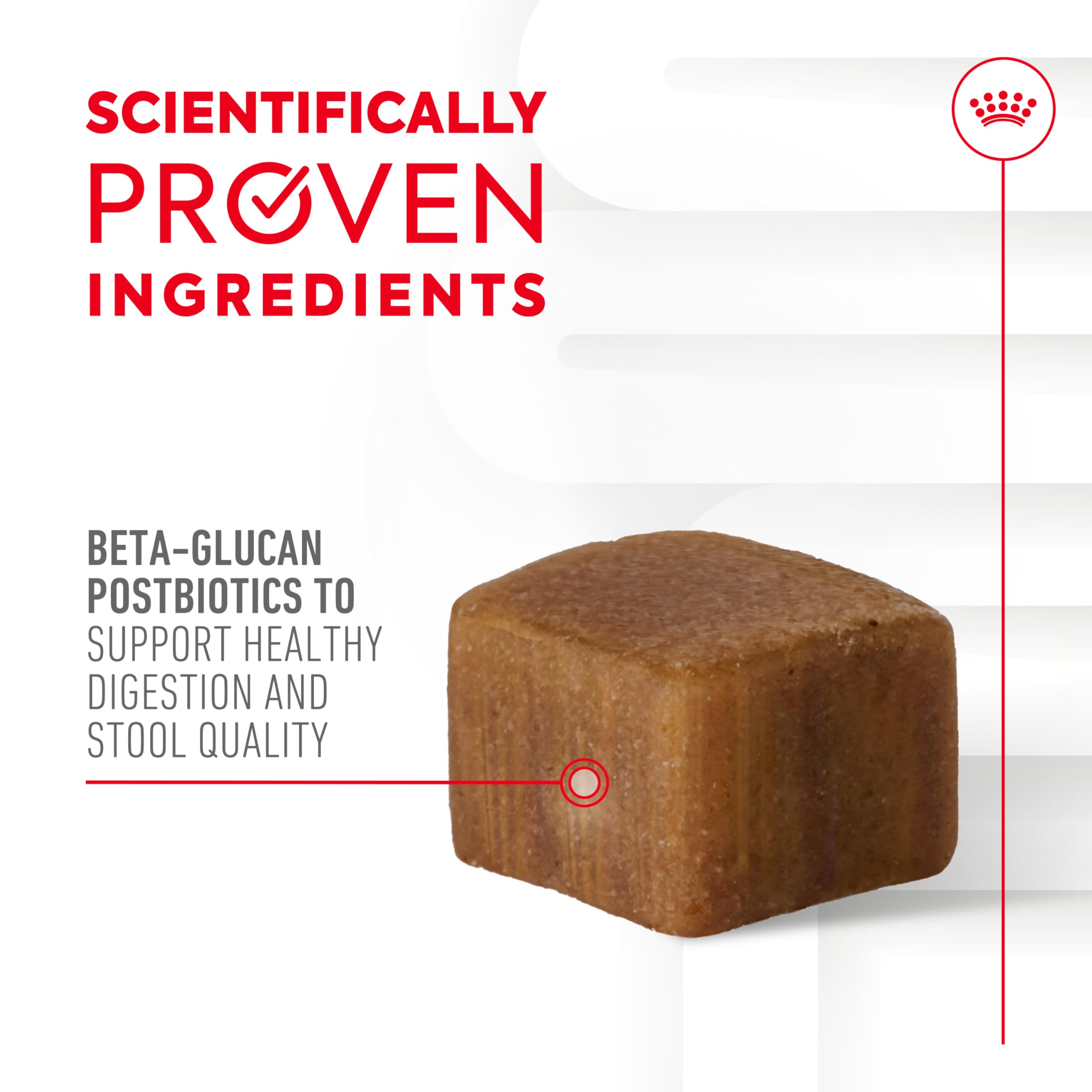 Royal Canin Digestive Health with prebiotics FOS MOS for balanced gut microbiome.