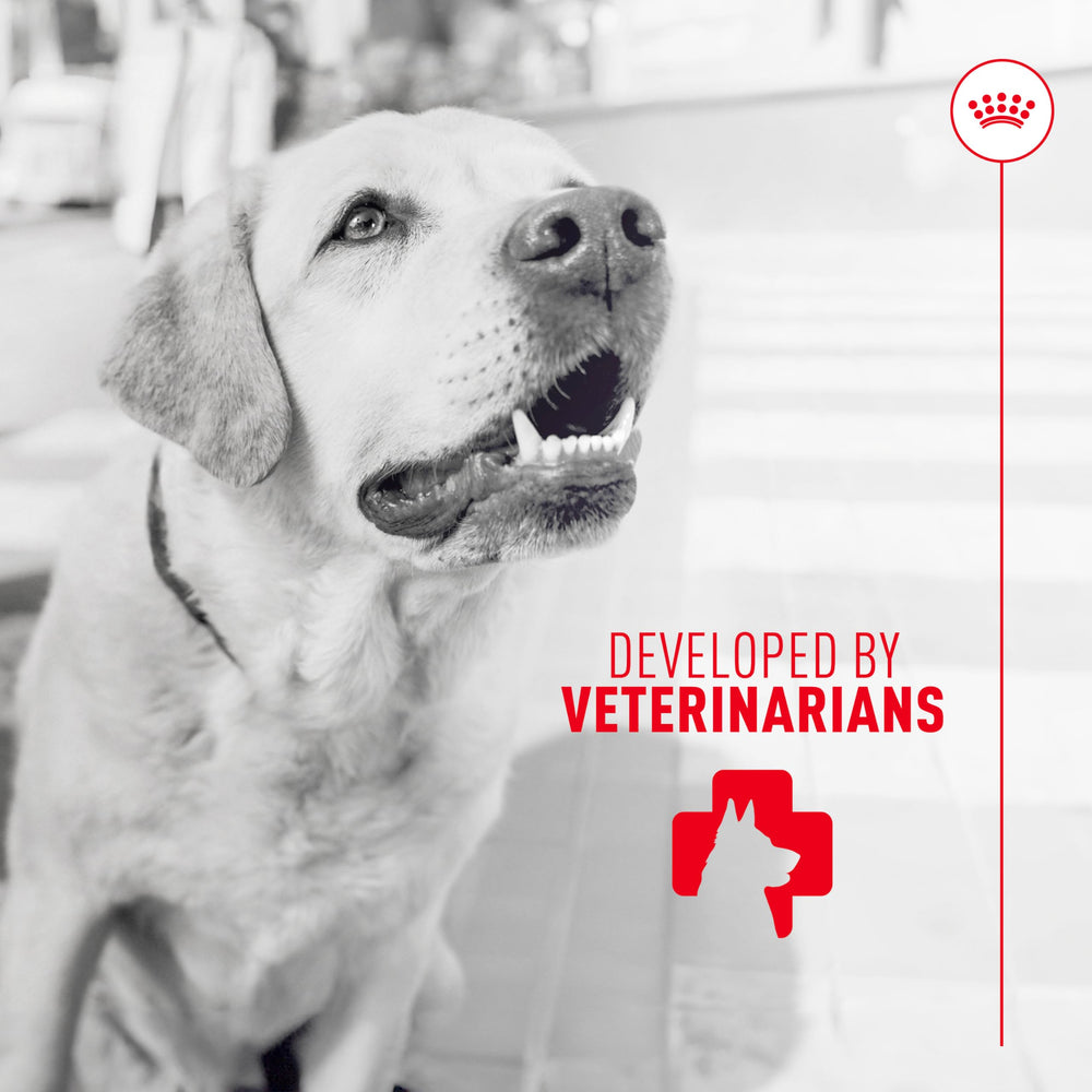Royal Canin Stool-quality support via beta-glucans in soft chews.