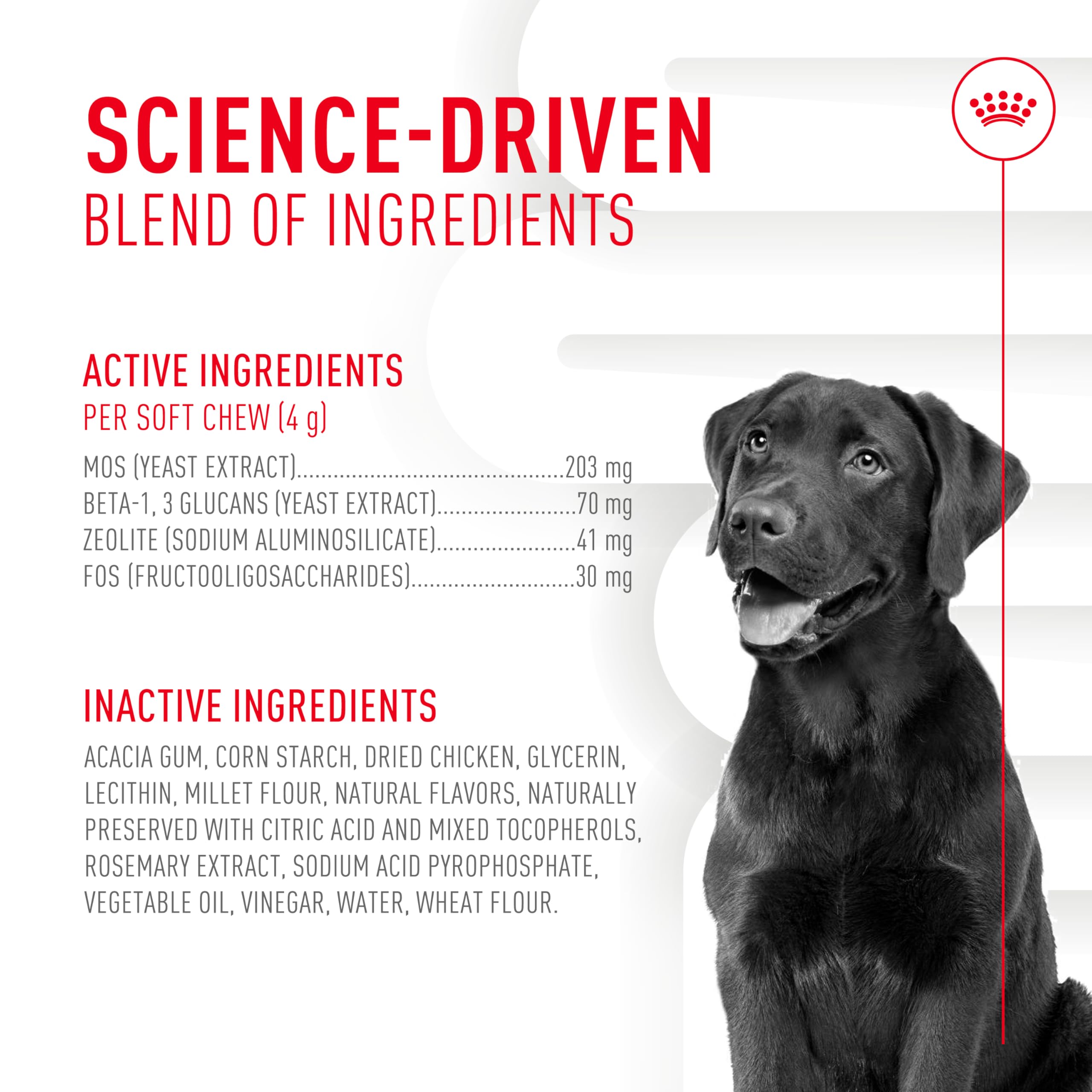 Royal Canin Veterinarian-developed supplement designed to support internal health.