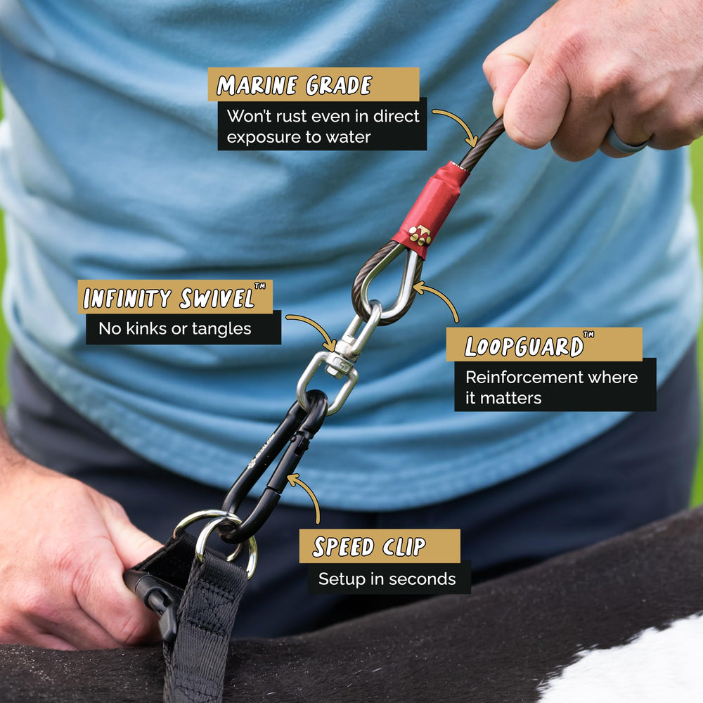 ROYAL PAW heavy-duty tether demonstrates strength for large dogs during play.