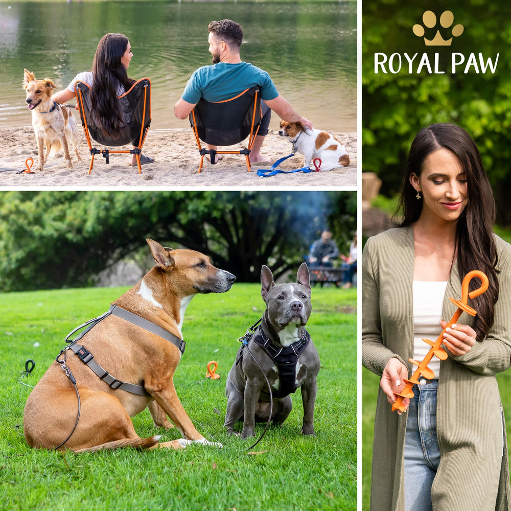 ROYAL PAW USA design and premium packaging signal quality.