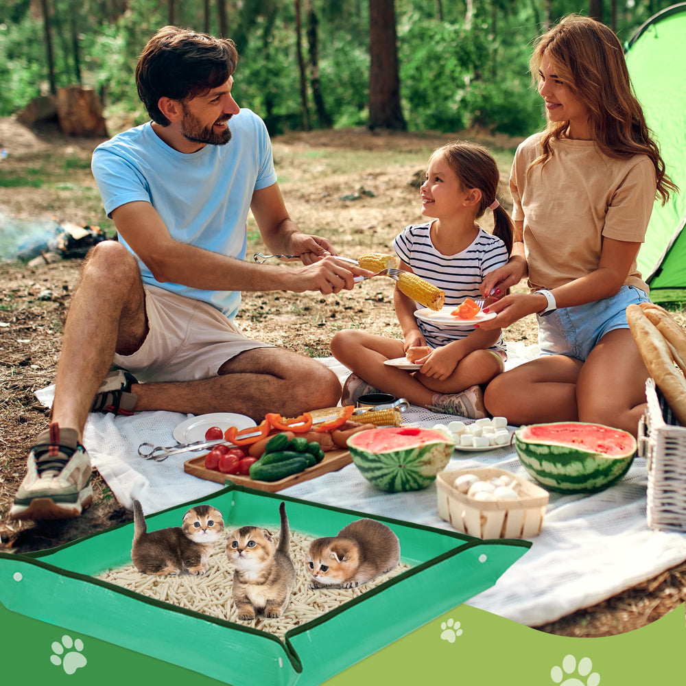 ROYALAY-car-and-hotel-setup keeps spaces cleaner with minimal mess.