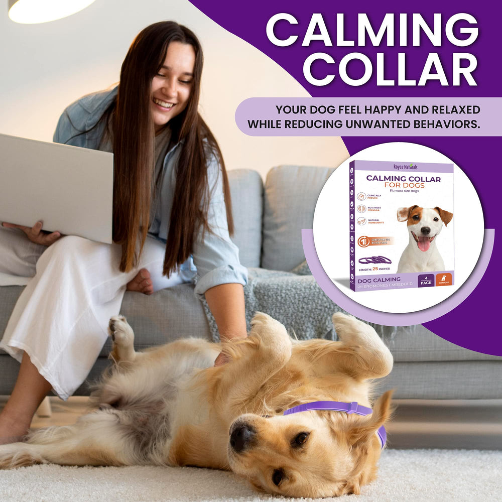 Royce Naturals calming collar used at home and outdoors for separation anxiety relief.