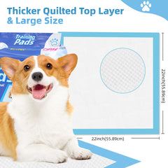 Roypet quick-dry surface speeds moisture evaporation for comfort.
