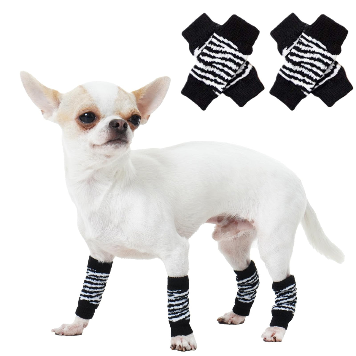 ROZKITCH dog elbow protector on front legs shows flexible support during outdoor activity.