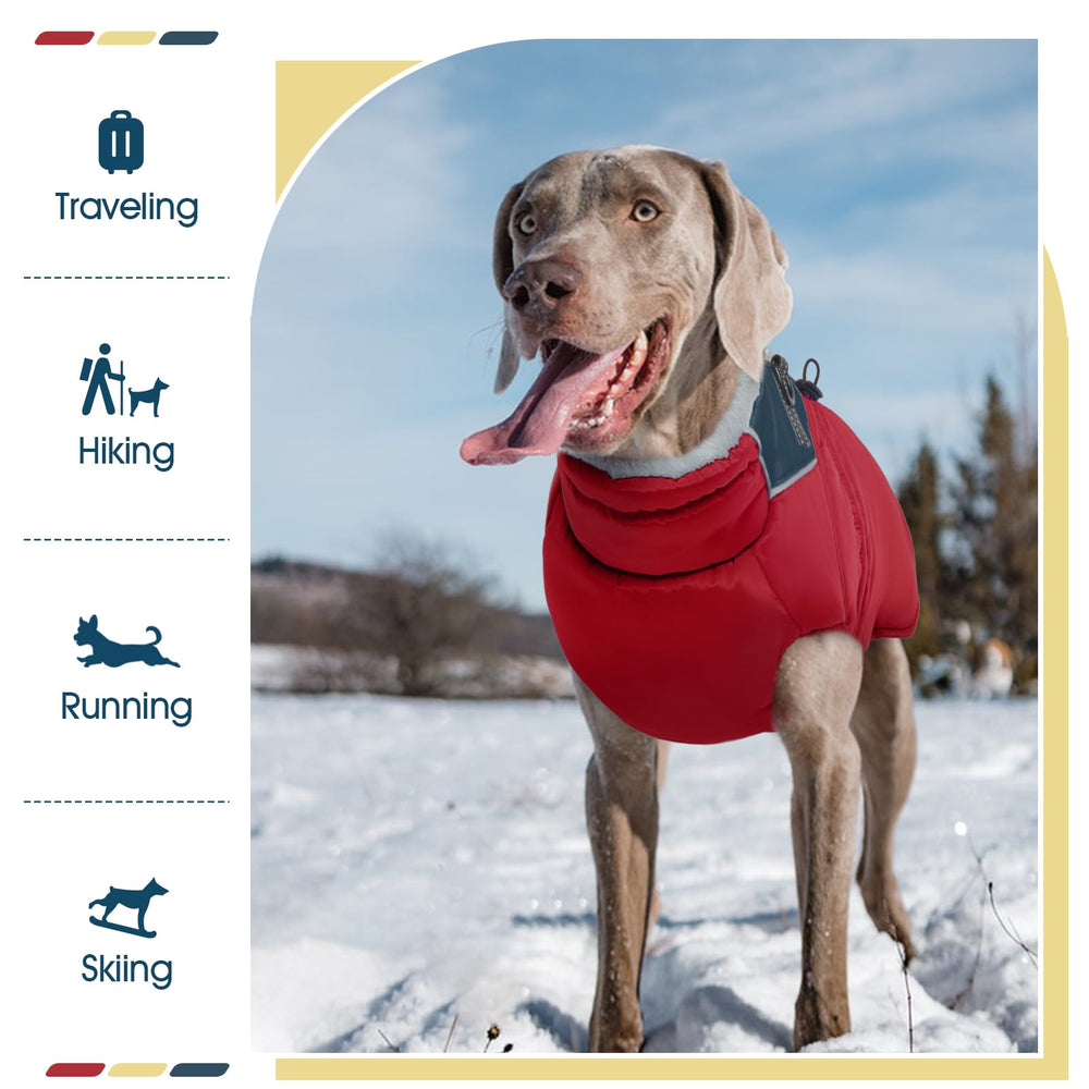 ROZKITCH dog jacket adjustable buckles back for secure fit.