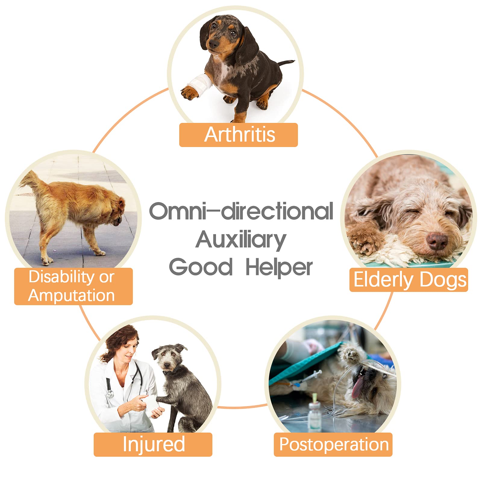 ROZKITCH Dog Lift Harness in use helping an elderly dog on couch.