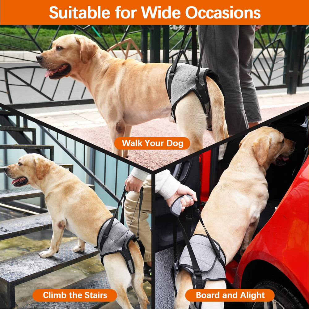 ROZKITCH Dog Lift Harness underbelly fit with breathable padding