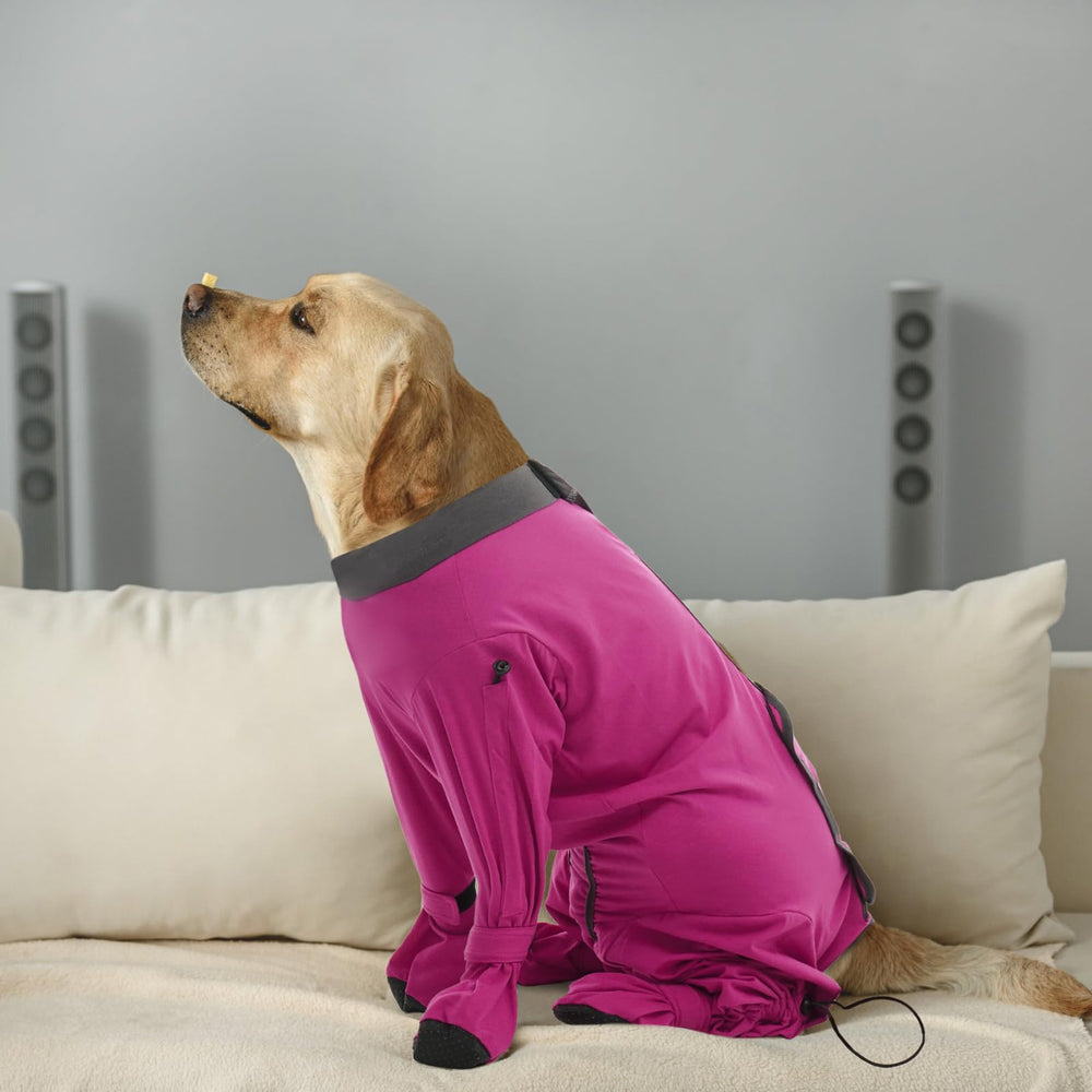 ROZKITCH dog recovery suit may replace an e-collar for comfortable recovery