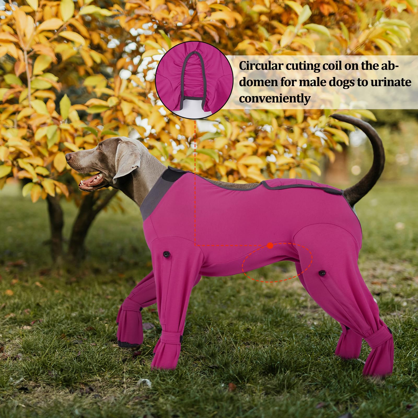 ROZKITCH dog recovery suit foot-cutouts support movement while preventing fur shedding