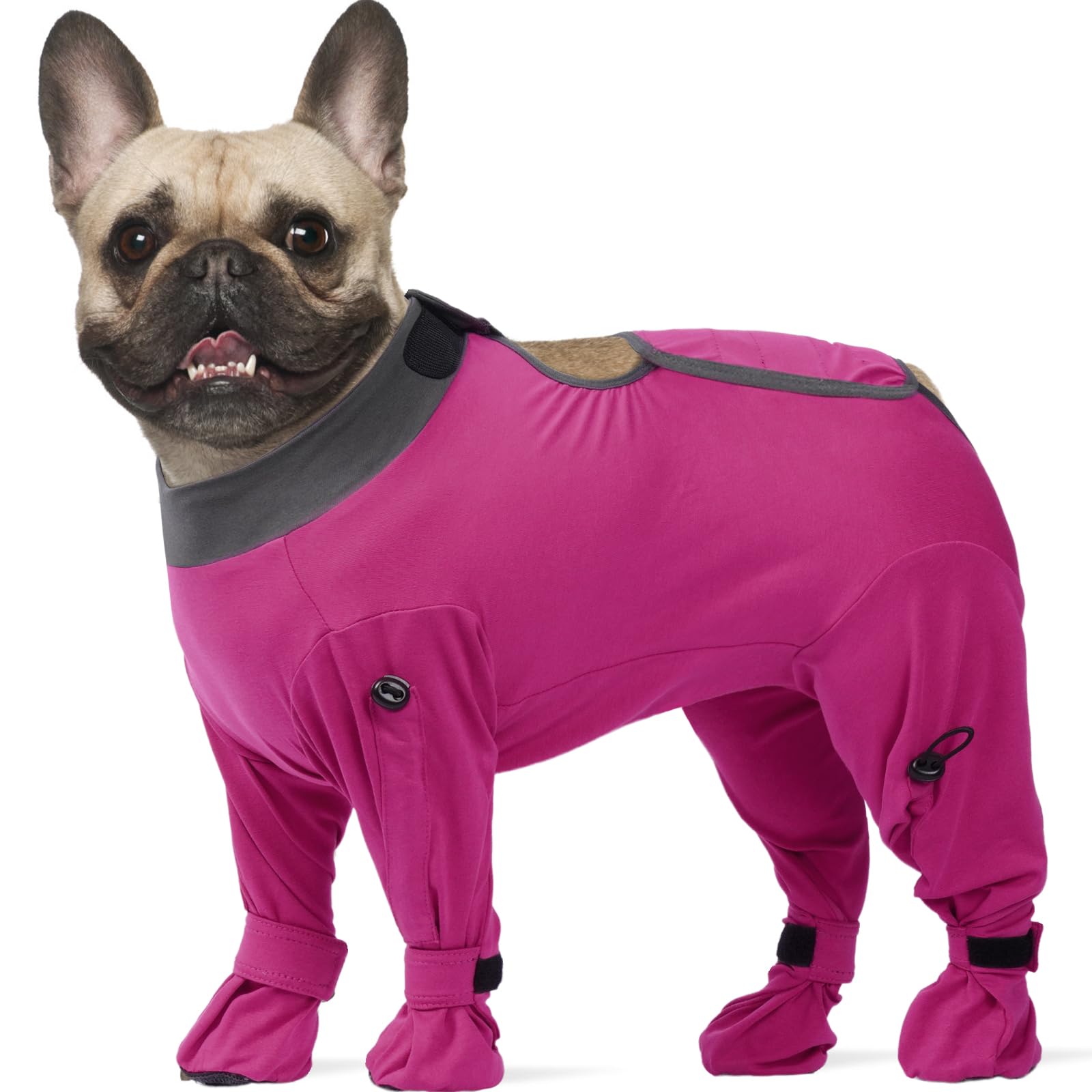 ROZKITCH dog recovery suit full-coverage protects wounds and reduces licking during healing
