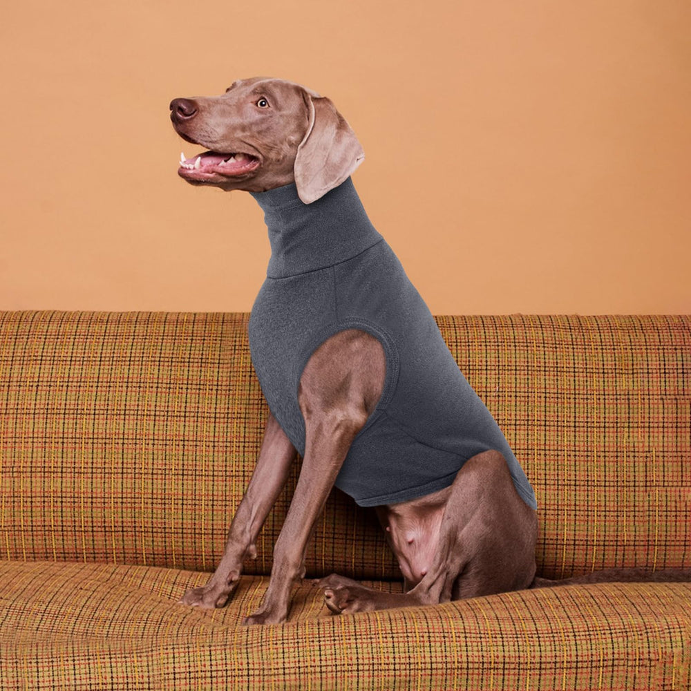 ROZKITCH dog sweater care label showing machine washability