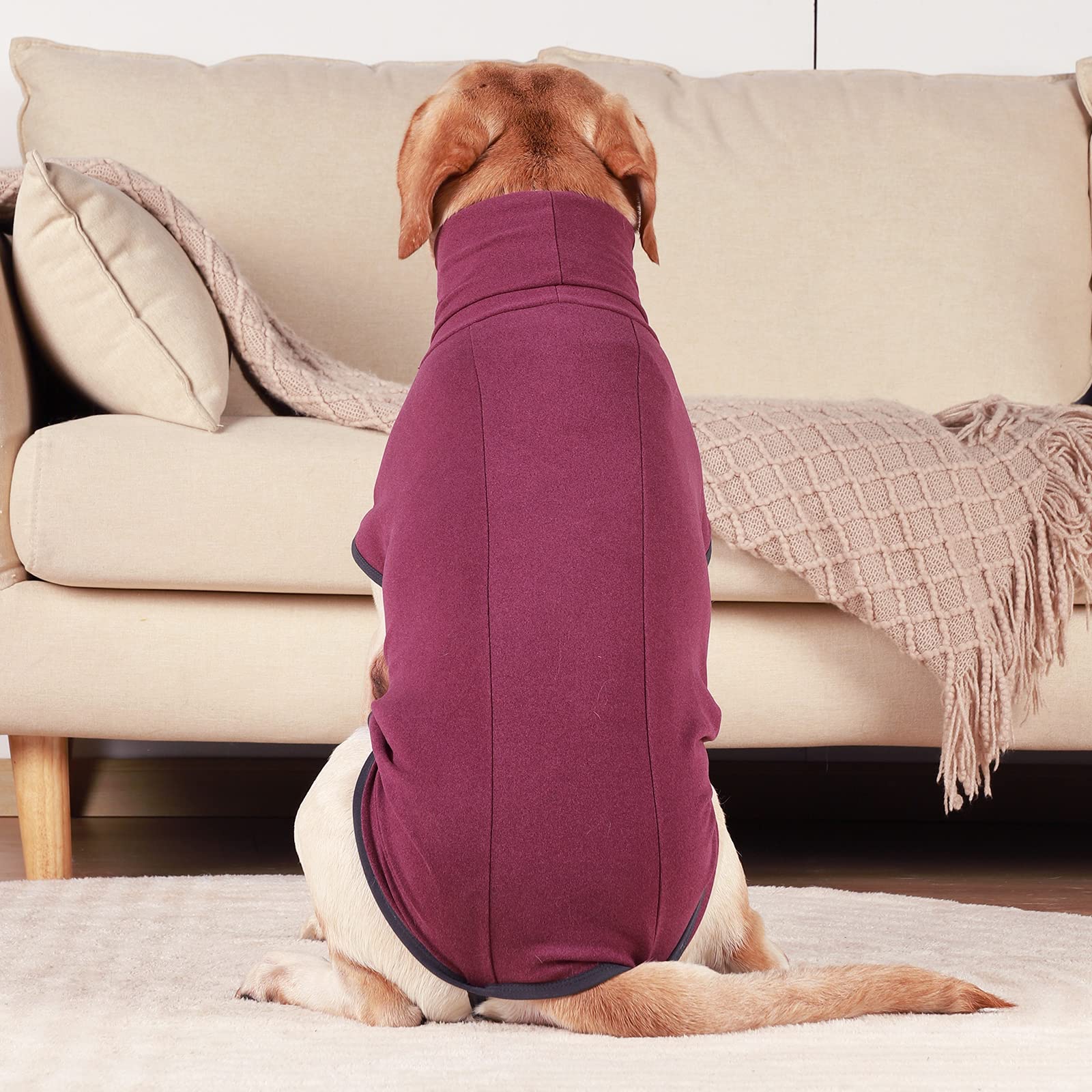 ROZKITCH dog-walking usage shot shows versatile outdoor and indoor wear.