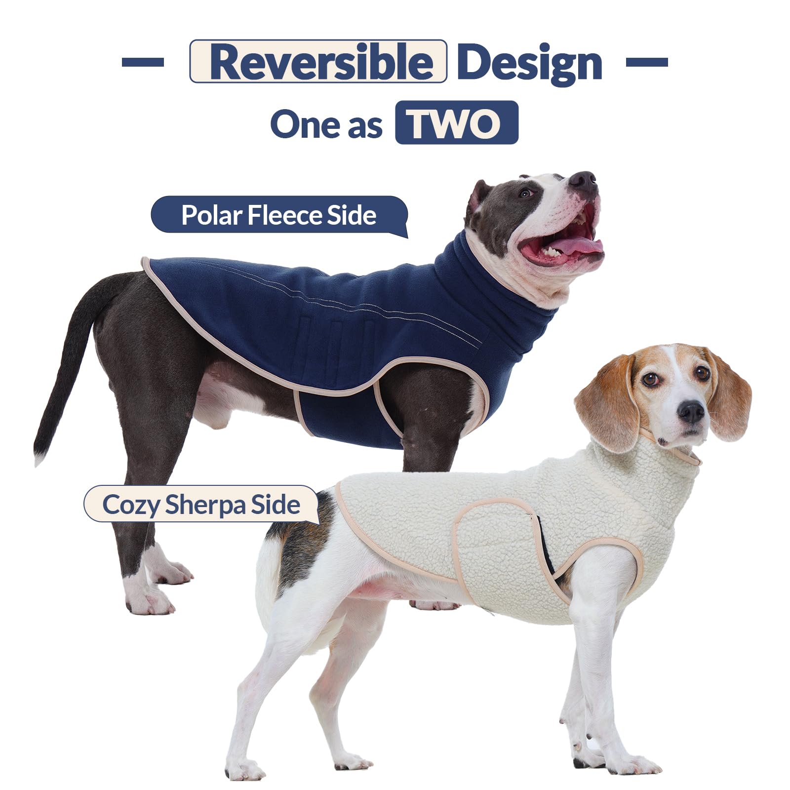 ROZKITCH dog winter coat back view with leash hole enabling safe outdoor walks