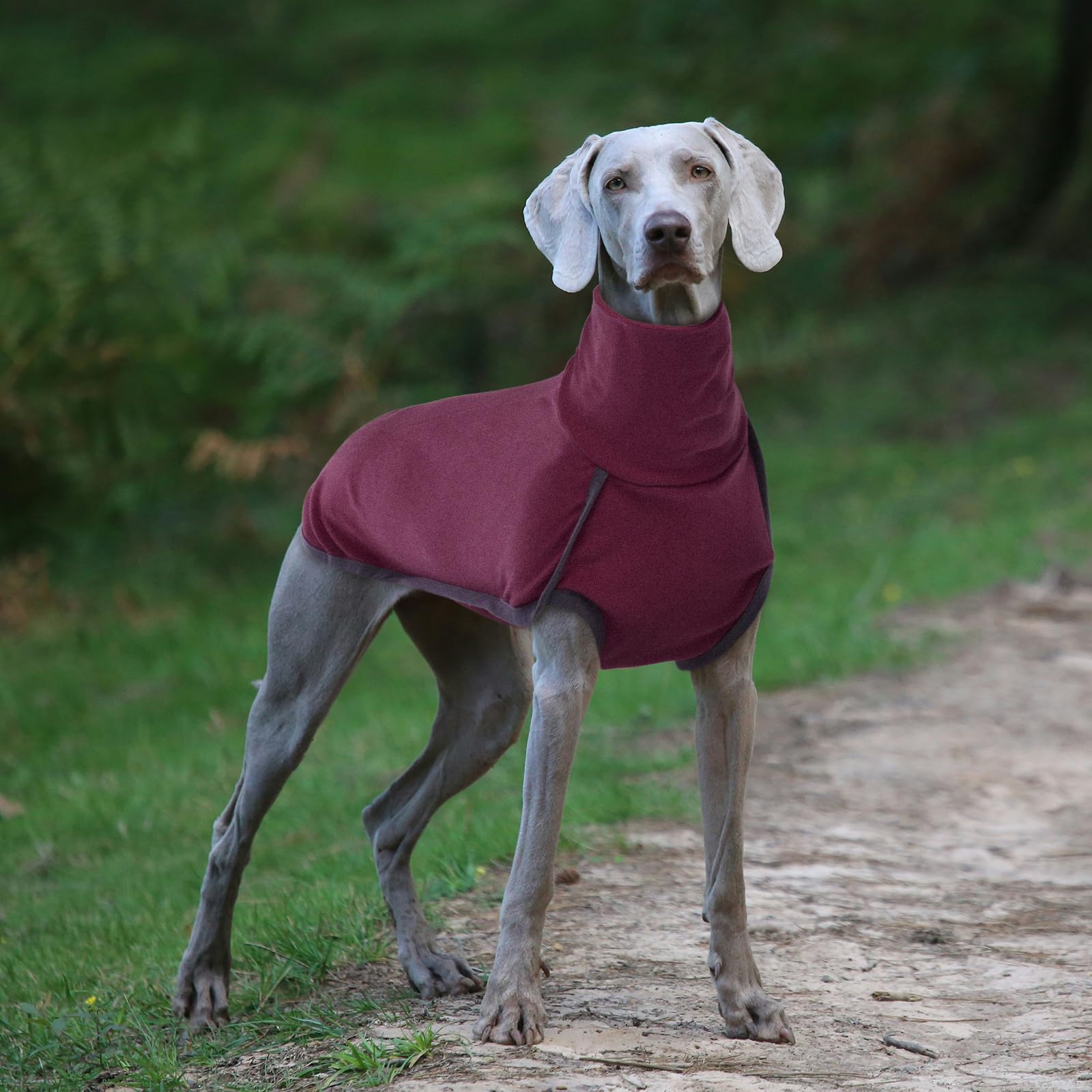 ROZKITCH breathable lining detail suggests comfortable wear in chilly weather.