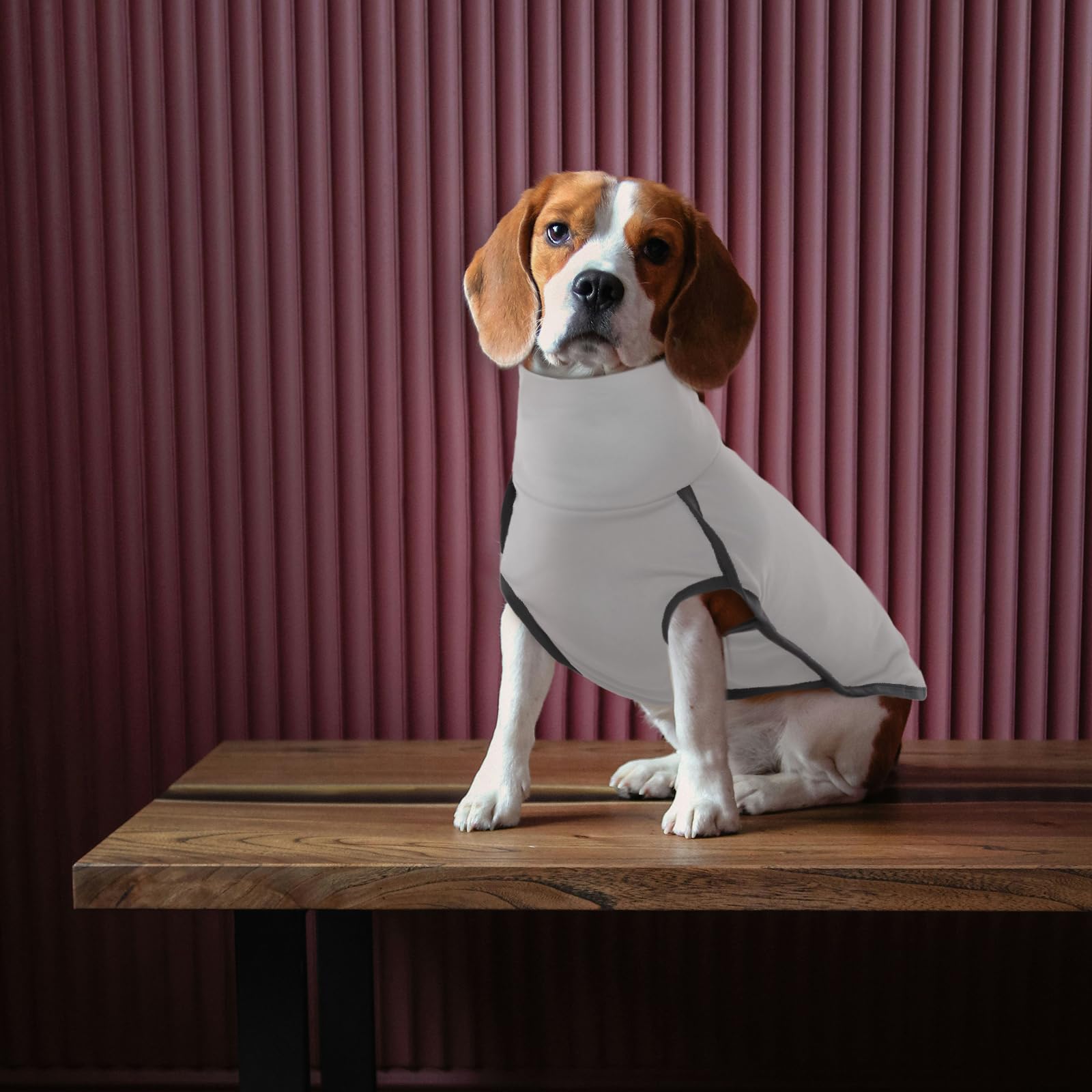 ROZKITCH Dog Winter Coat Grey XS adjustable-strap shows secure fit for different sizes.