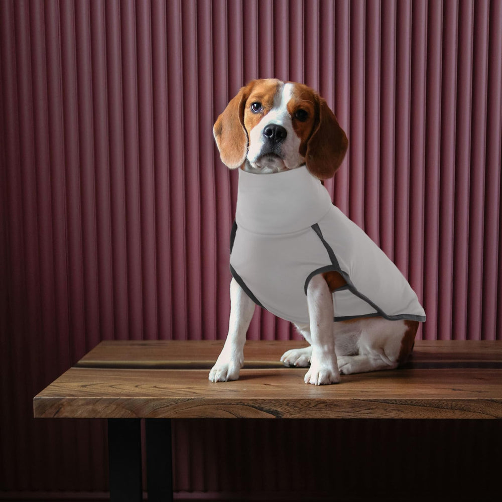ROZKITCH Dog Winter Coat Grey XS adjustable-strap shows secure fit for different sizes.