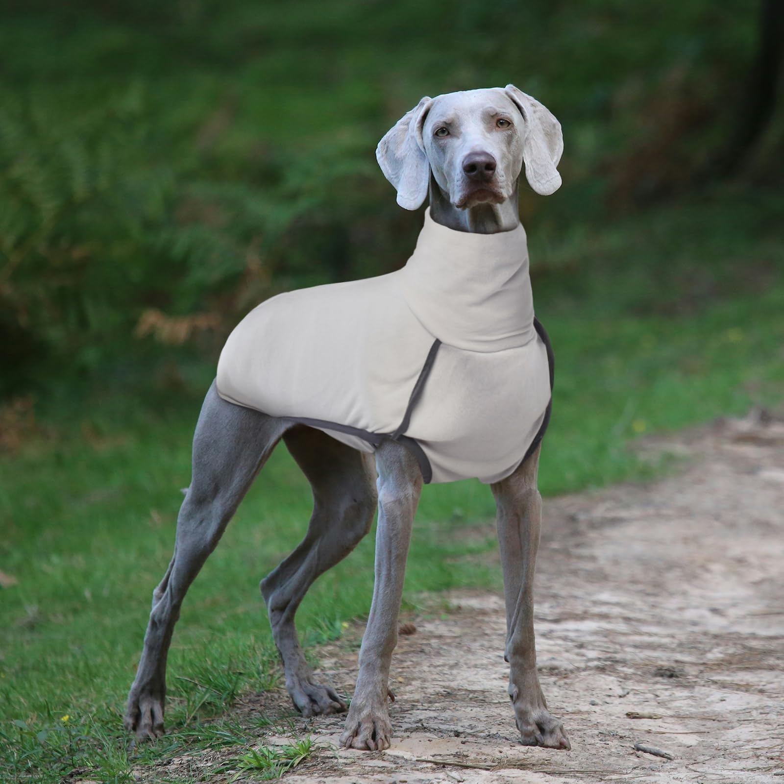 ROZKITCH Dog Winter Coat Grey XS back view captures no-leg vest design.
