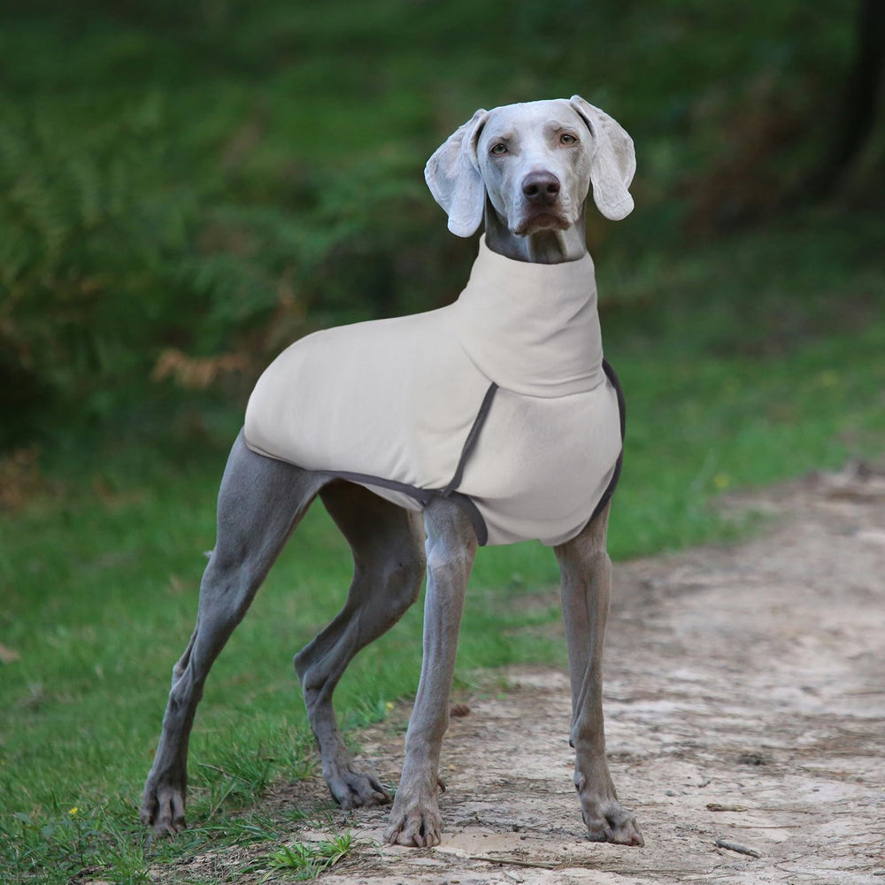 ROZKITCH Dog Winter Coat Grey XS back view captures no-leg vest design.