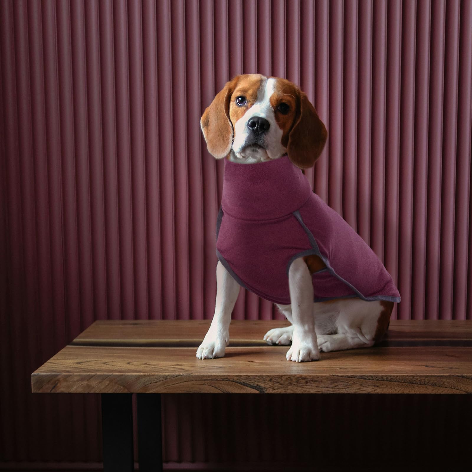 ROZKITCH size range image showcases eight size options for many dogs.