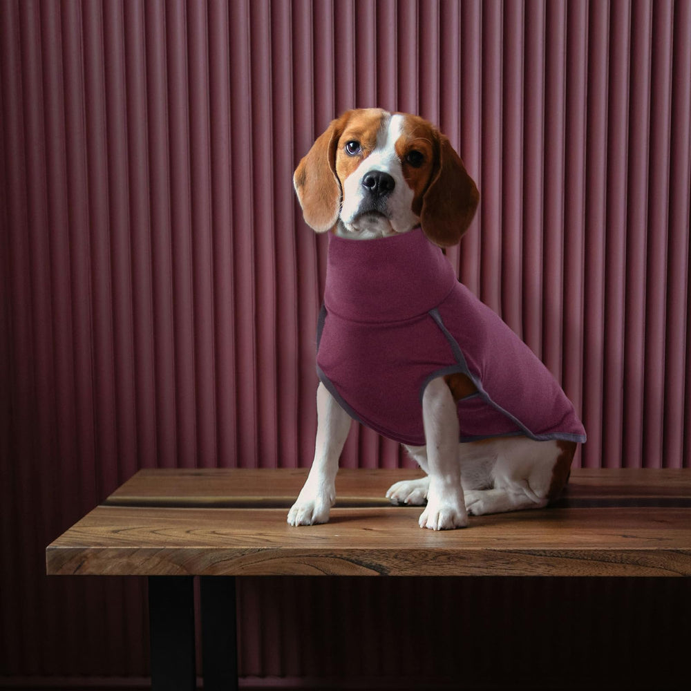 ROZKITCH size range image showcases eight size options for many dogs.