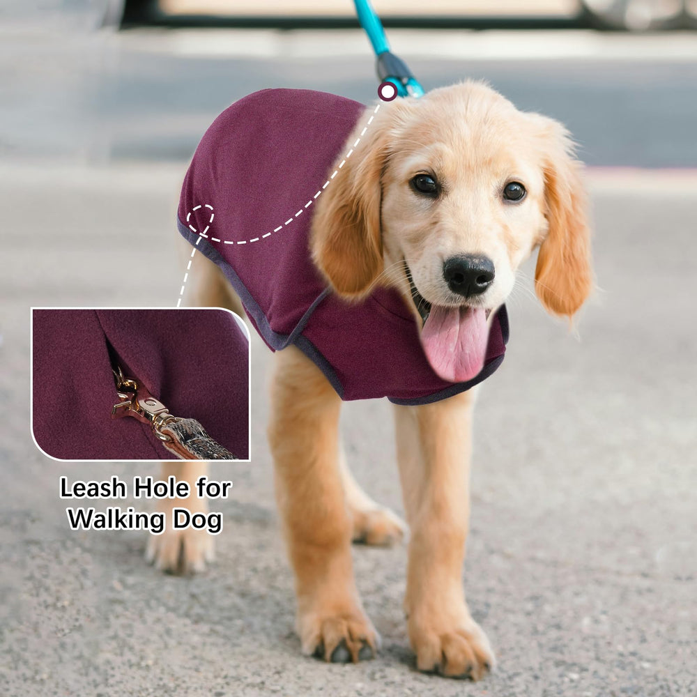 ROZKITCH dog winter coat worn on dog demonstrates full coverage and cozy warmth.