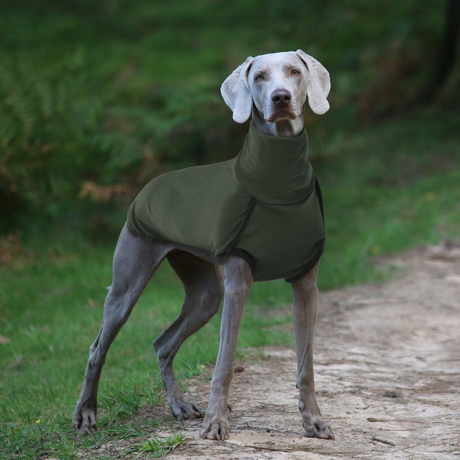 ROZKITCH eight-size range accommodates many breeds