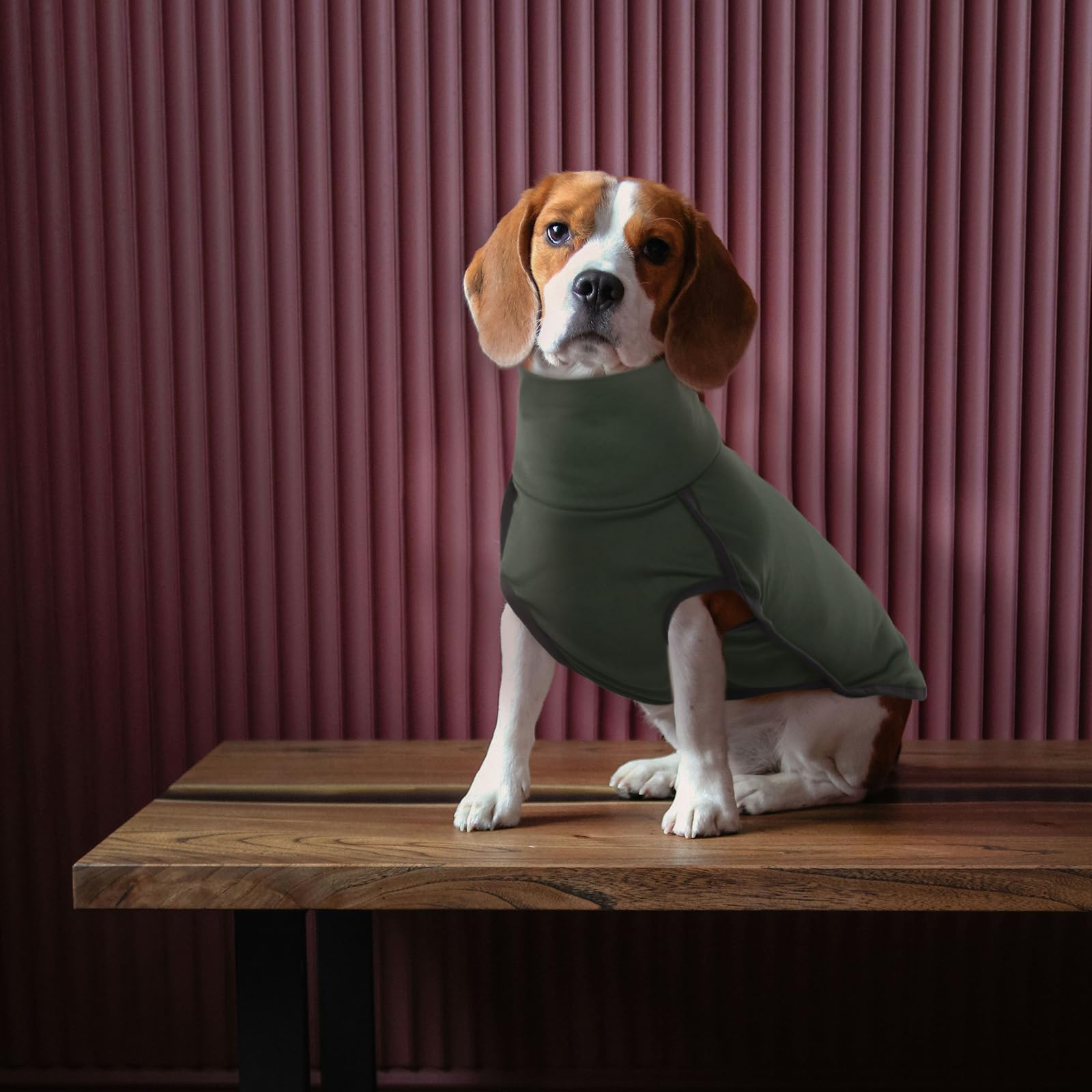 ROZKITCH dog wearing coat demonstrates cozy warmth for walks and travel