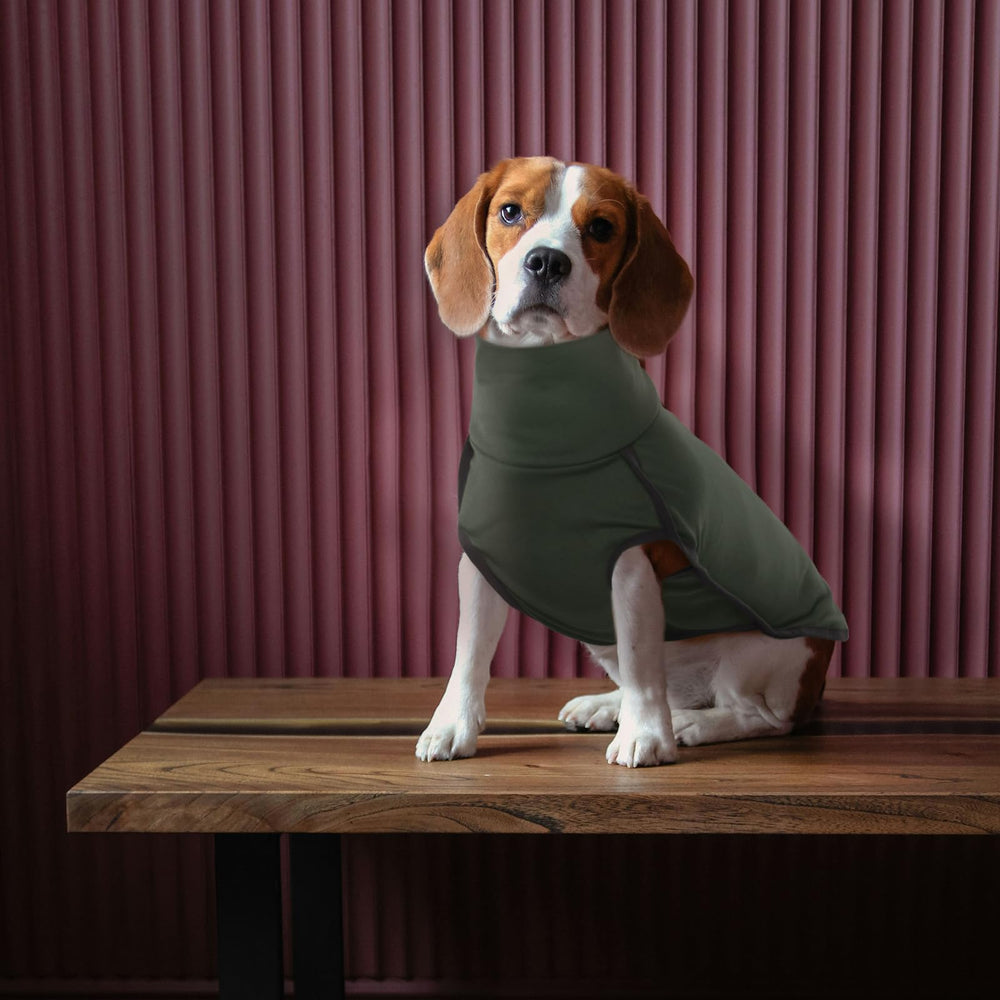ROZKITCH dog wearing coat demonstrates cozy warmth for walks and travel