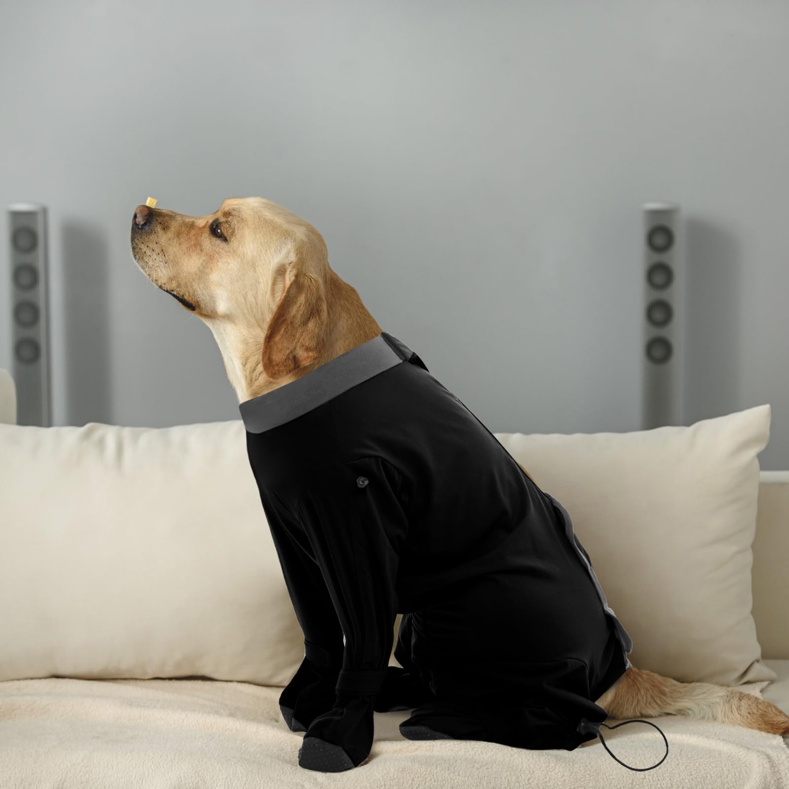 ROZKITCH e-collar-alternative supports eating, drinking, and resting freely.