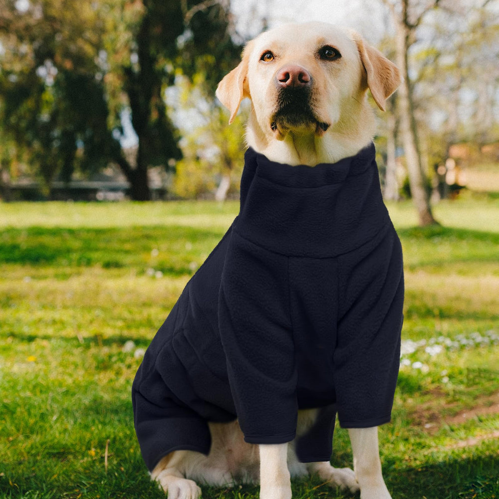 ROZKITCH size range 2XS-4XL shown for diverse breeds