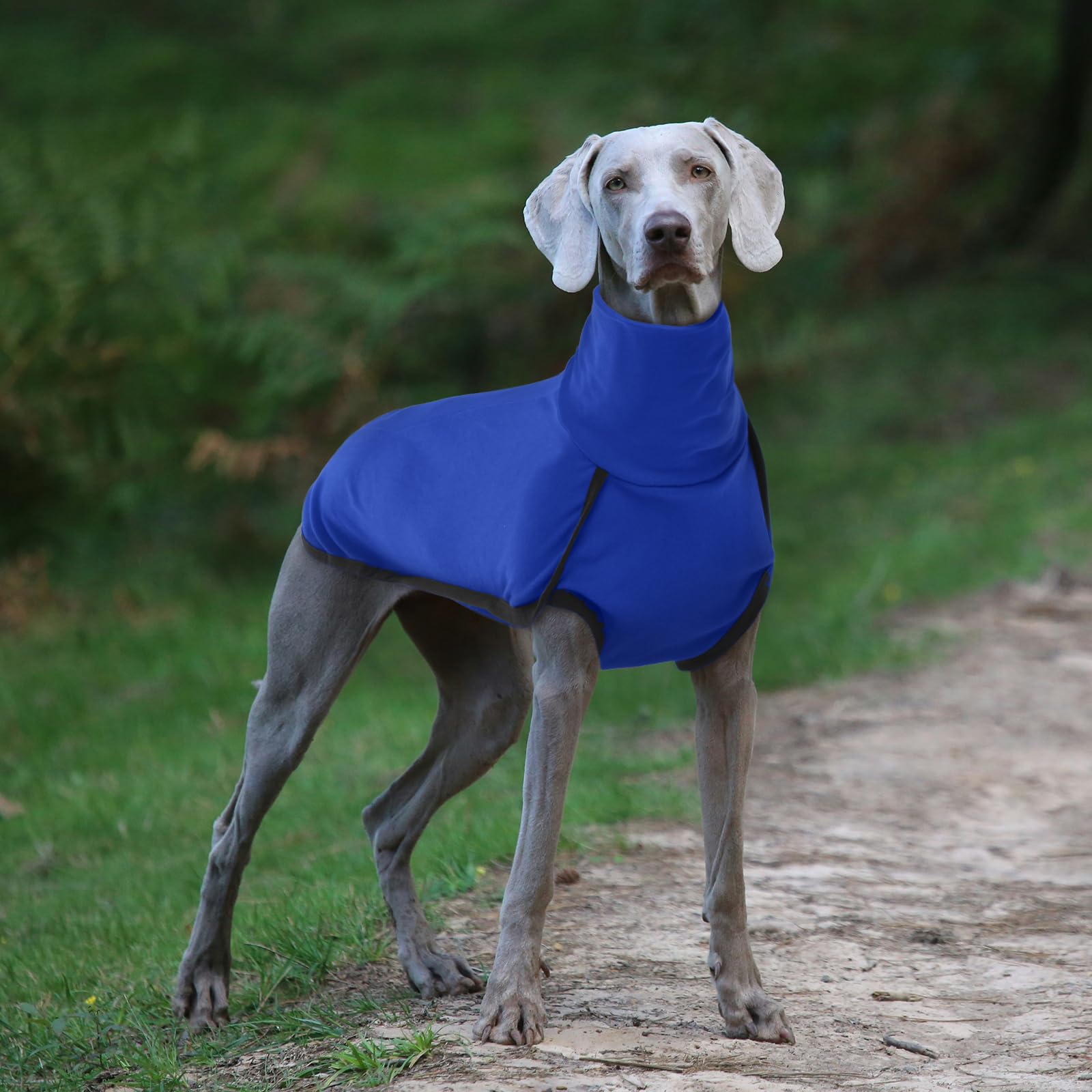 ROZKITCH Turtlenck Dog Pajamas blue M adjustable-strap close-up—secure fit for warmth