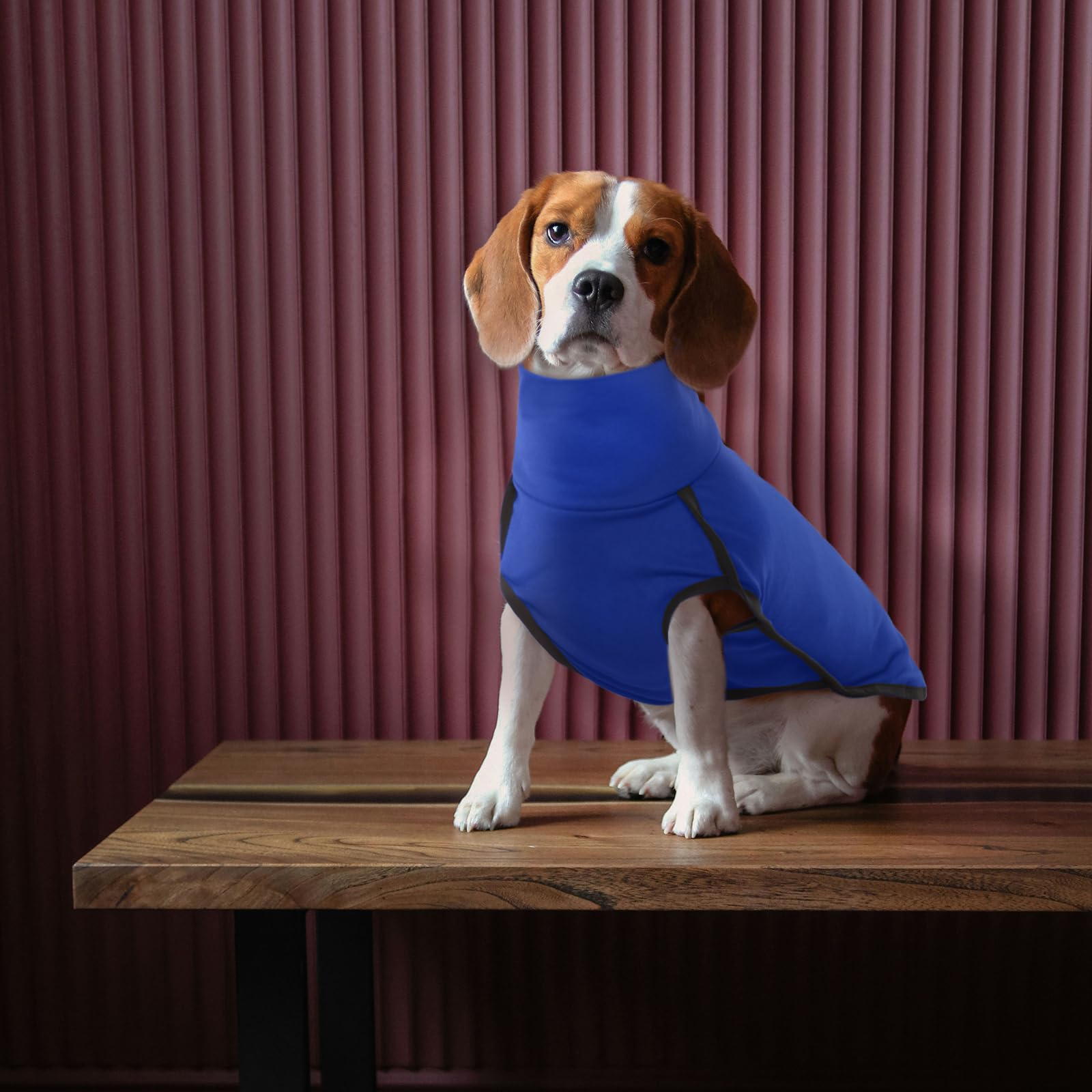 ROZKITCH Turtlenck Dog Pajamas blue M turtleneck close-up—soft fabric breathable lining