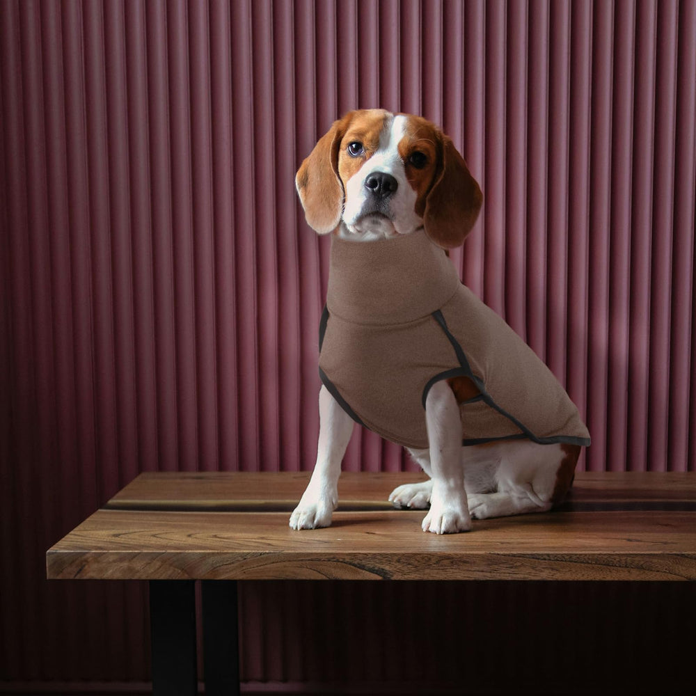 ROZKITCH dog wearing sweater on a hike benefits from warmth.