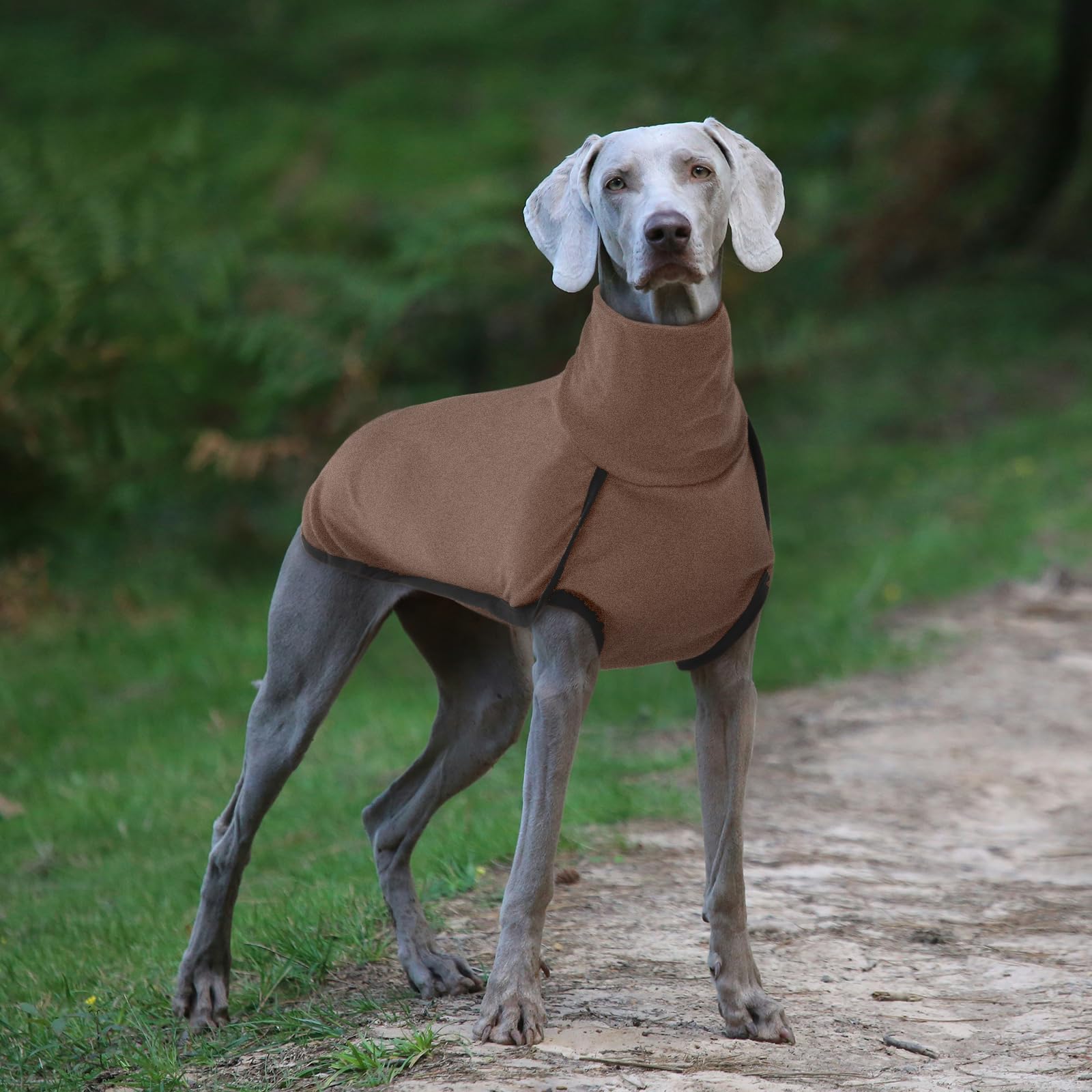 ROZKITCH elastic strap detail helps snug warmth during walks.