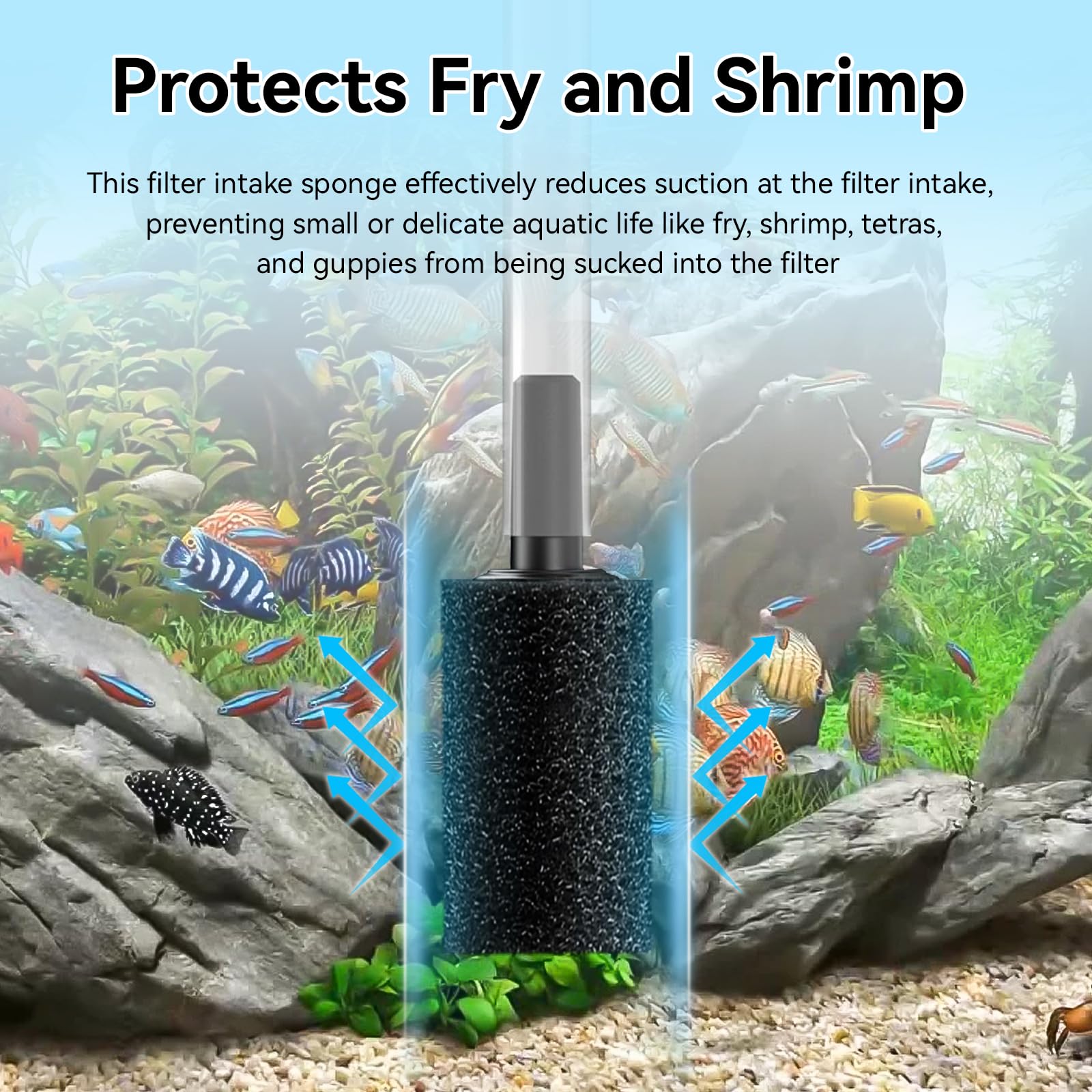 RPBKE aquarium sponge debris trap highlights filtration and debris capture