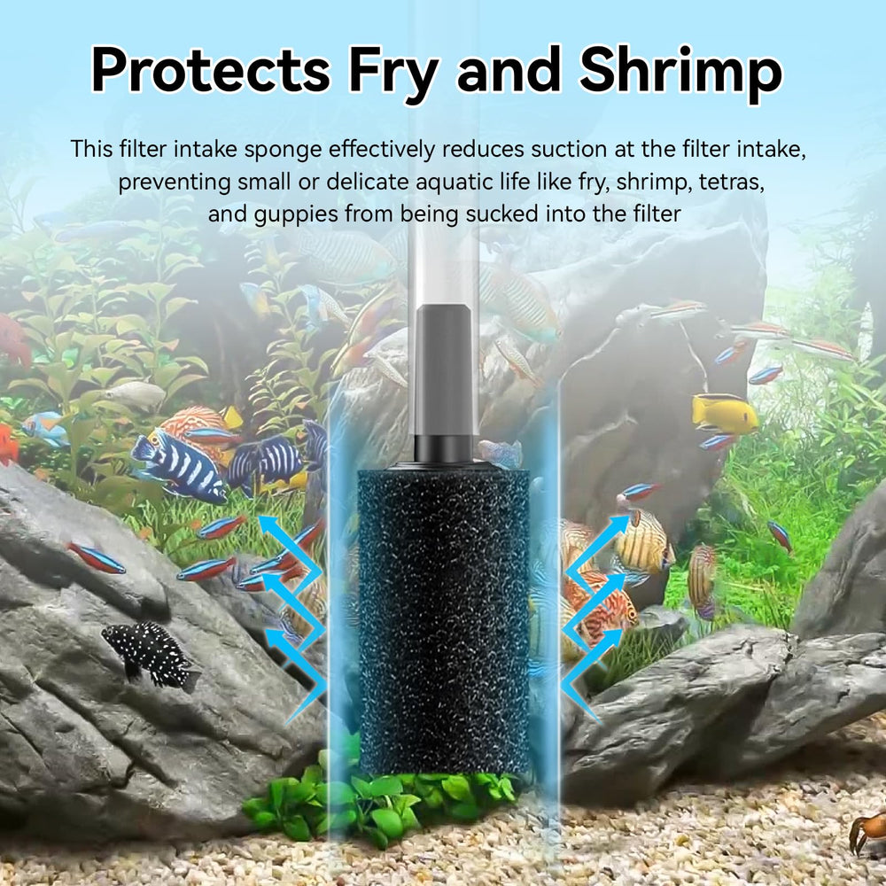 RPBKE aquarium sponge debris trap highlights filtration and debris capture