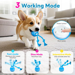 R RUCKERCO toy activates bird sounds to sustain attention and training