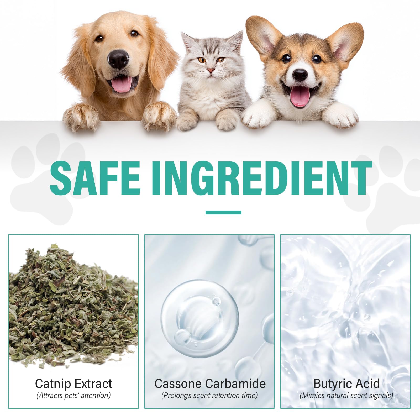 RSQQAV training aid reduces confusion for new dogs by establishing a clear routine