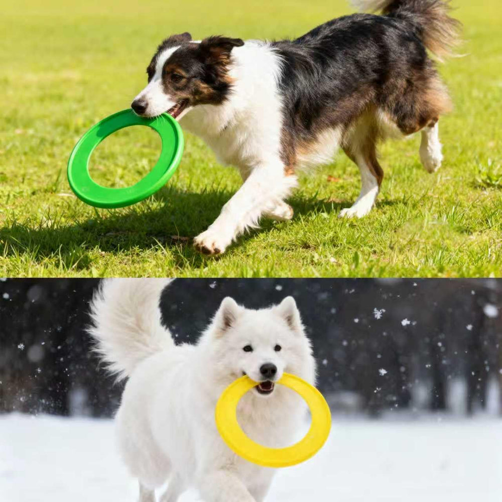 RSSLygaeonix easy-clean disc for quick cleanup after outdoor play.