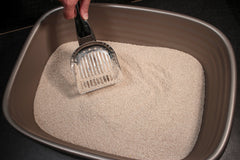 RSVP Endurance steel scoop basin designed for larger litter boxes and quick, thorough scooping