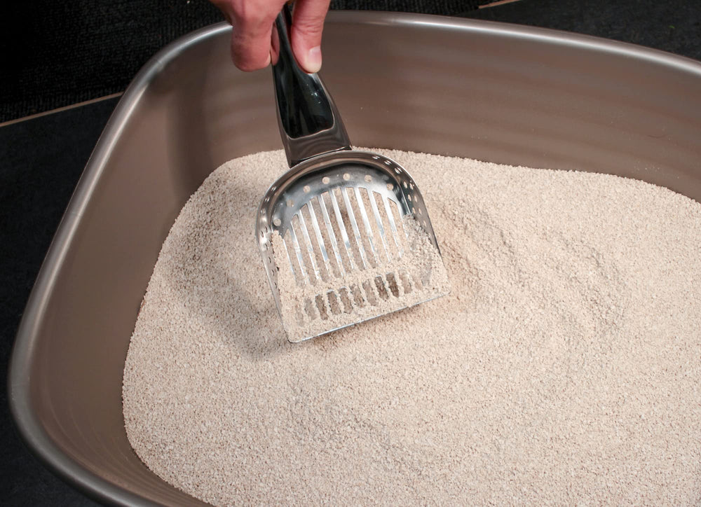 RSVP International Endurance scoop large basin design enables easier scooping in bigger boxes.