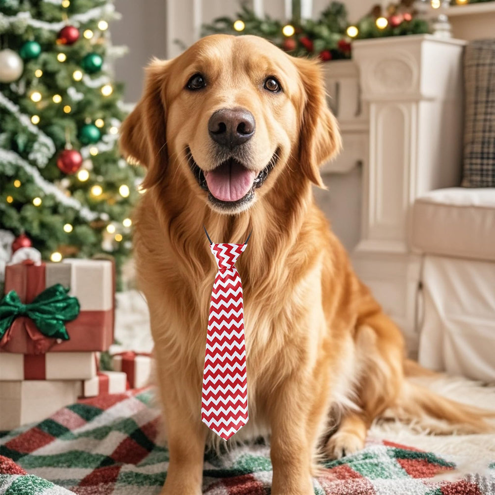 Rthjsfj 10-pack dog neck ties offering versatile holiday styling options.