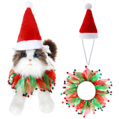 Rthjsfj Christmas Cat Costume hat on a small pet for a festive photo moment.