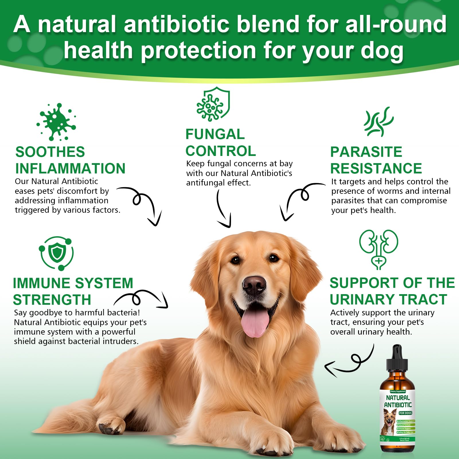 RUAKPL antibiotics for dogs ingredients display echinacea wormwood oregano for immune support.