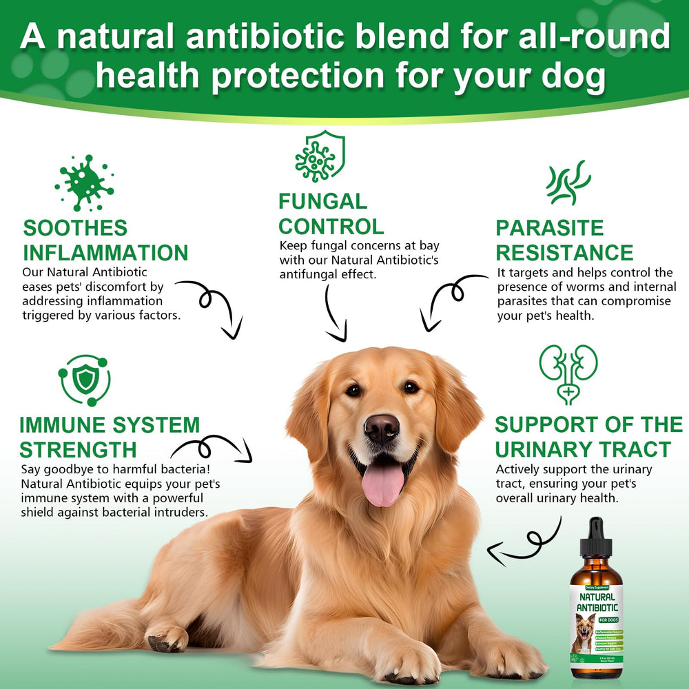 RUAKPL antibiotics for dogs ingredients display echinacea wormwood oregano for immune support.