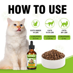 RUAKPL cat antibiotic-chicken-flavor bottle—palatable drops your cat will enjoy.