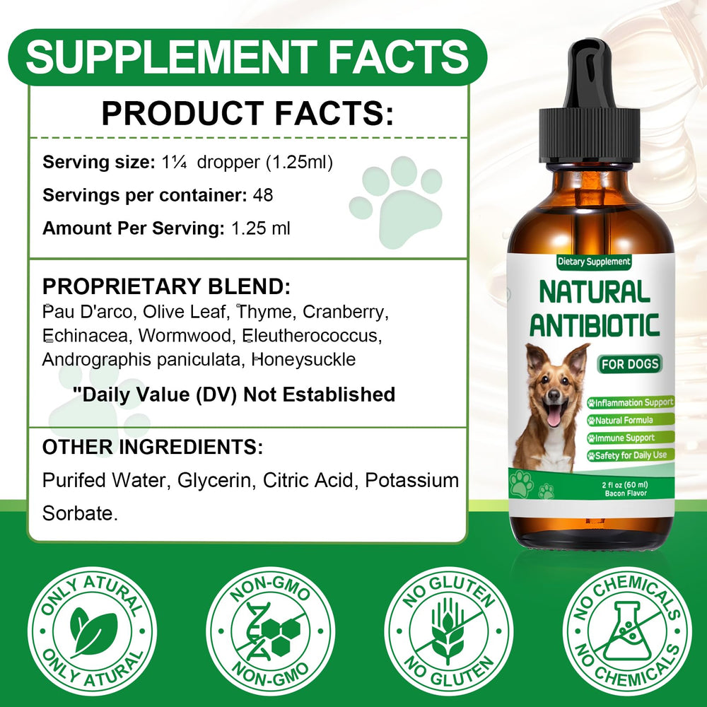 RUAKPL immunity and digestive support for dogs image suggesting everyday wellness.