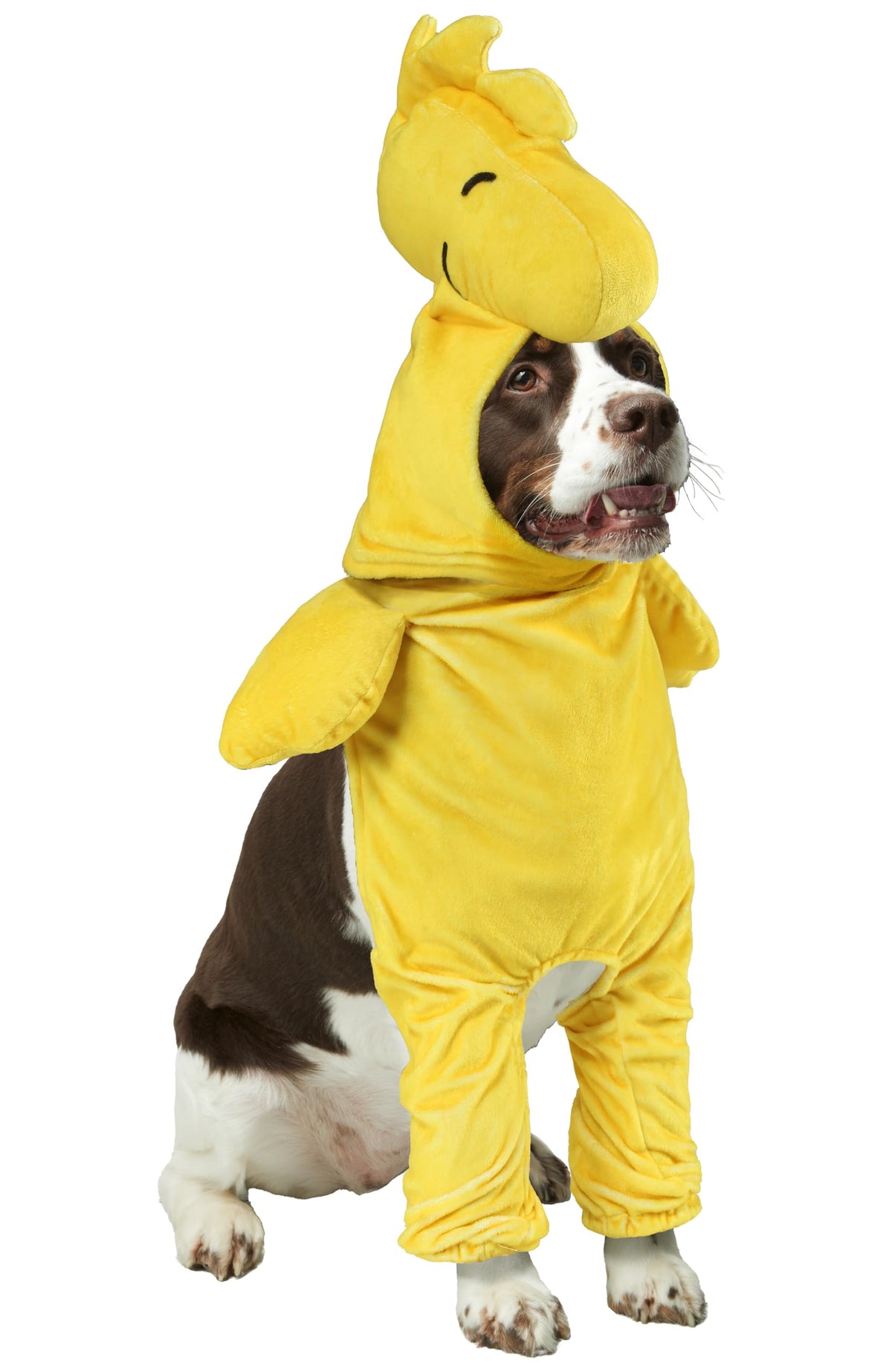Rubies Woodstock walkie pet costume lets your dog or cat pose upright for festive photos.